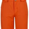 Dare2B Outmove Pant -Winterkleding Winkel dare2b outmove pant vibrant orange 116 5 6 vibrant orange 0